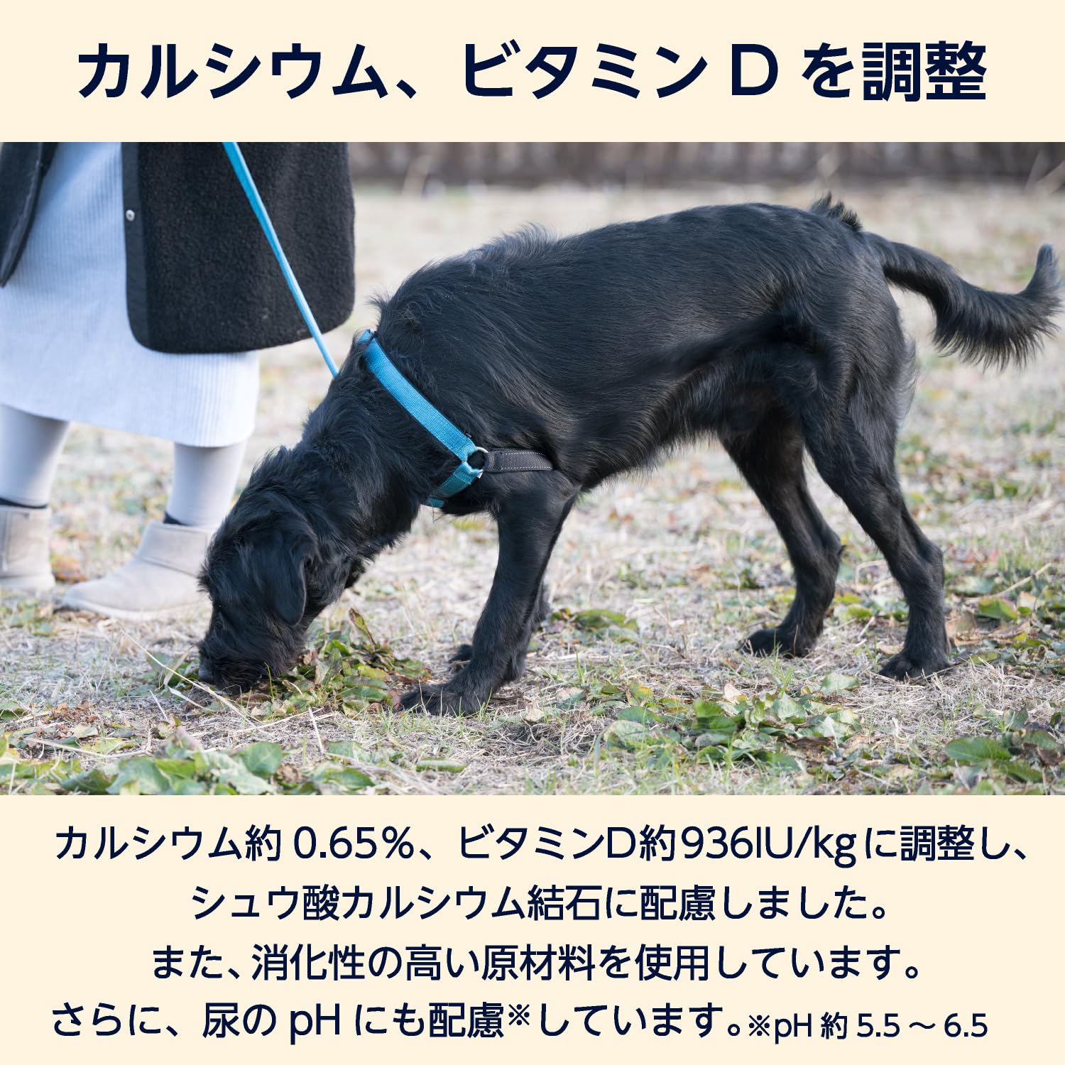 Amazon | by Amazon 犬用食事療法食 下部尿路ケア 3kg ドッグフード