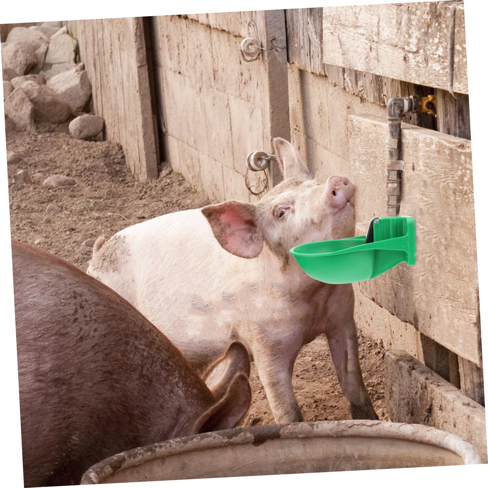 Abbeveratoio Automatico in Plastica, Ciotola Grande per Bovini