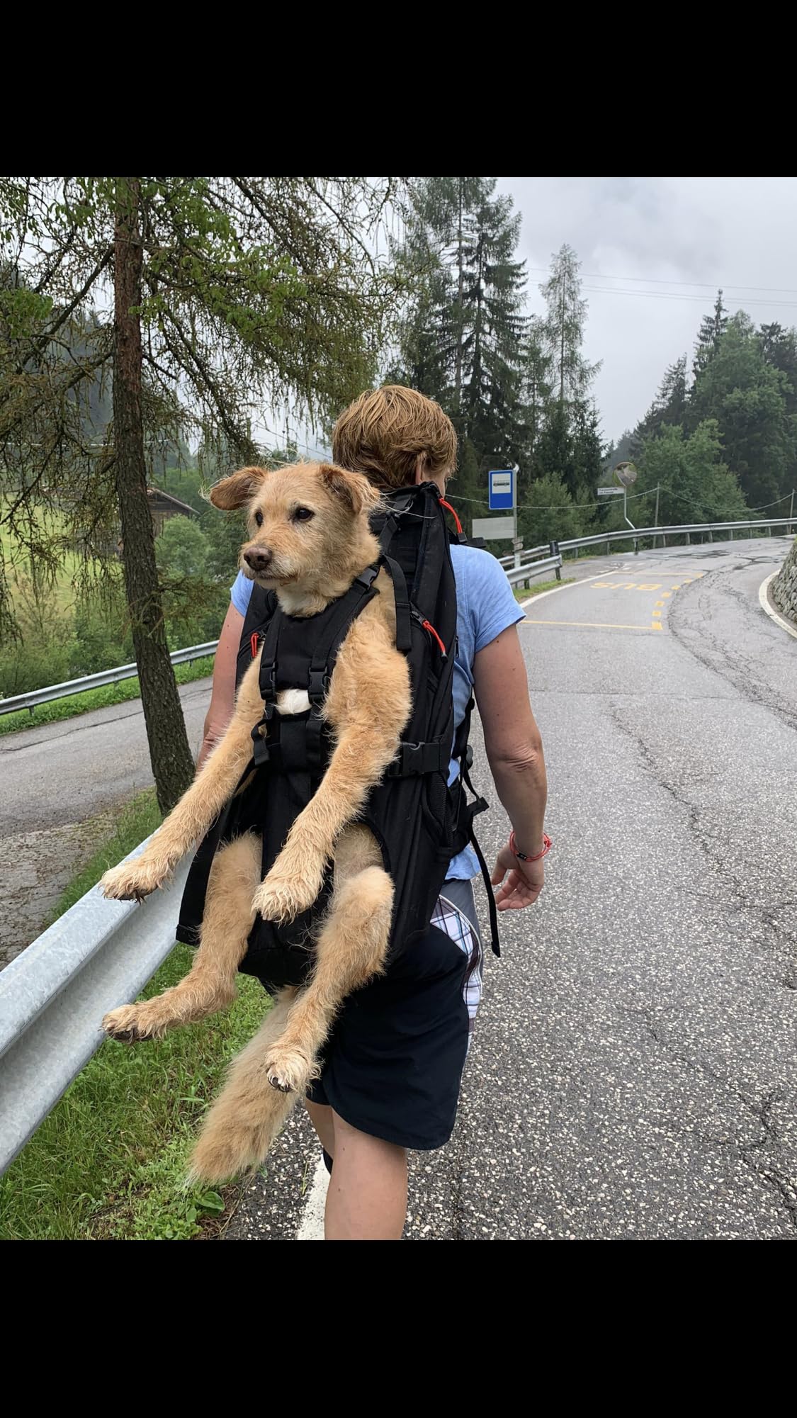 Patentierter Premium Leg Free Rucksack zum Tragen von Hunden Hunderucksack Hundetrage Hundetragerucksack für Hunde