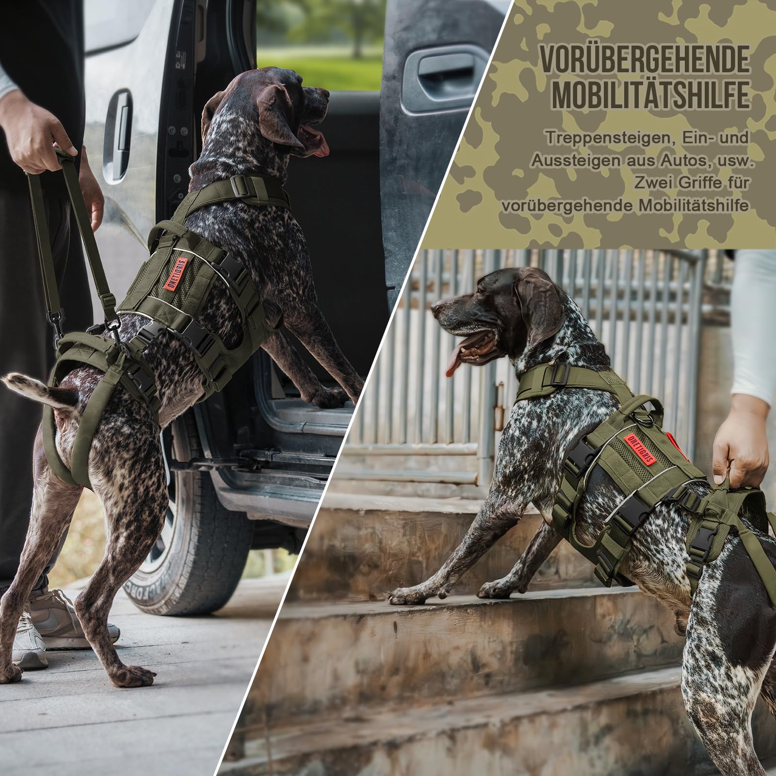 OneTigris SKYEWALKER uprząż podnośnikowa