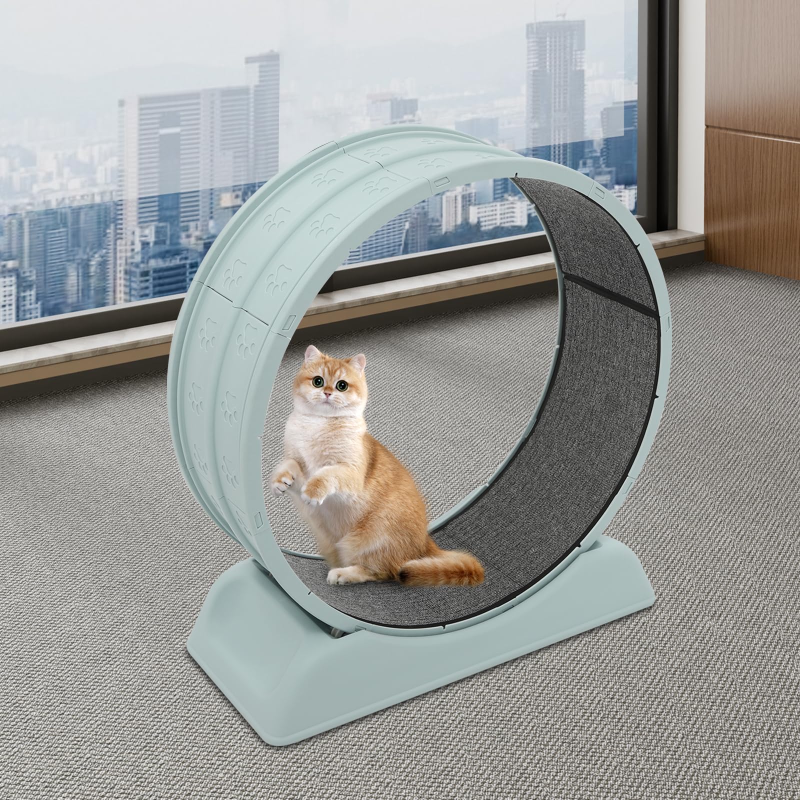 Rueda para gatos, rueda de correr para gatos, rueda silenciosa para gatos con hebilla de seguridad, cinta de correr interior con alfombra para correr y rascar, rueda para gatos, 80 cm de diámetro