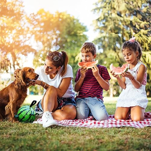 Miniatura 4 de Pelotas de juguetes para perros para razas grandes y medianas (7 pulgadas, pelota de fútbol)