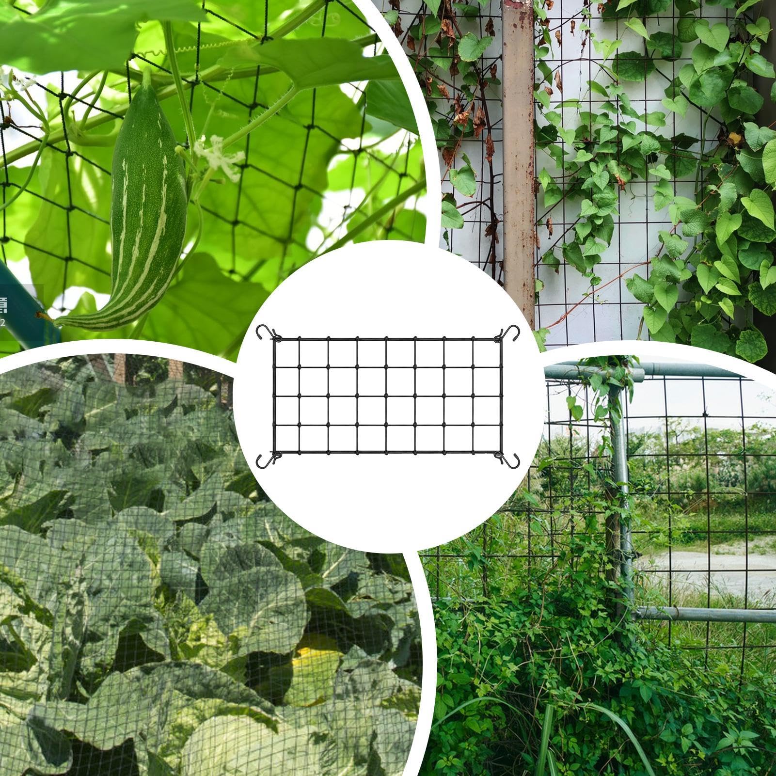 Elastisches Ranknetz Für Pflanzen – 90x90 Cm Mit 4 Haken – Stütznetz Für Gemüse, Früchte & Blumen (schwarz)