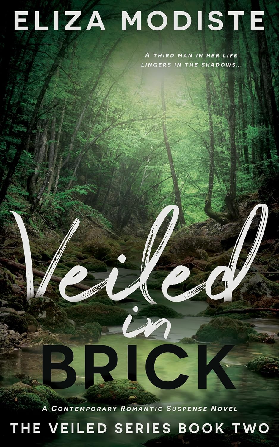 Veiled in Brick A Sworn Off Relationships Contemporary Romantic