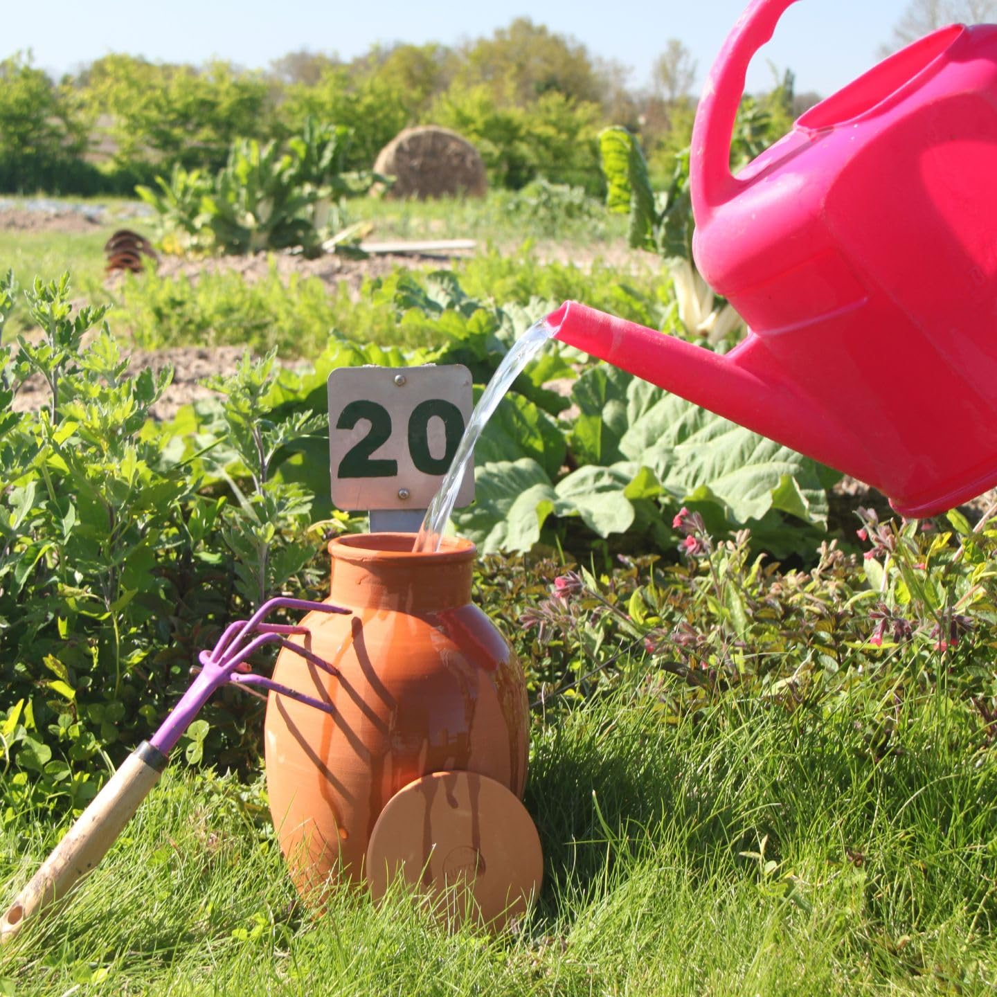 Duo d’Ollas Jardinier Taille XL 8 L – Fabrication Française – Arrosage Autonome Naturel et Économique pour Potager et Jardin