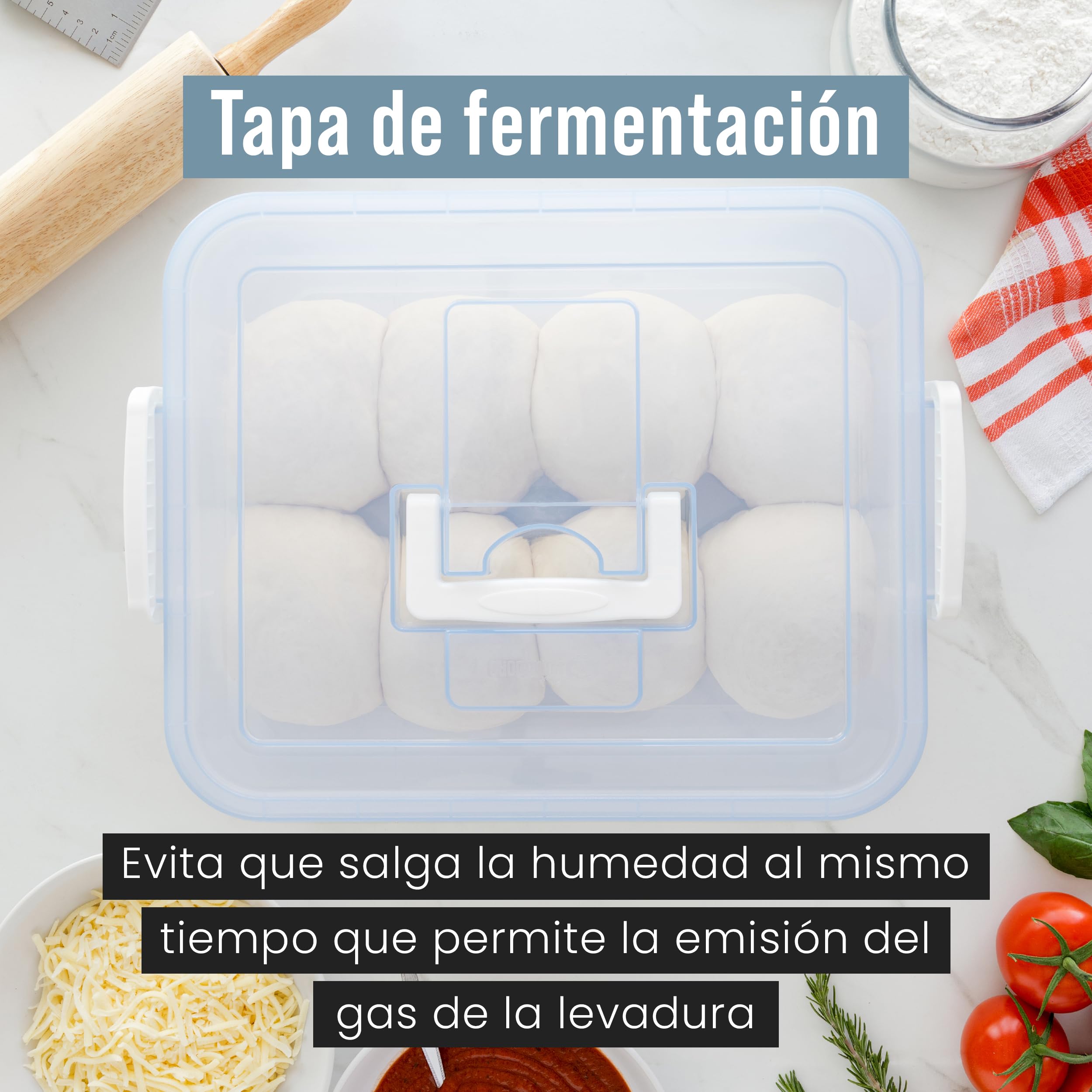 Chef Pomodoro Caja con Tapa para Fermentar Bolas de Masa de Pizza, Contenedor Plástico, Caja Transparente con Práctica Asa de Transporte (Azul, 44 x 34 cm (Paquete de 2))