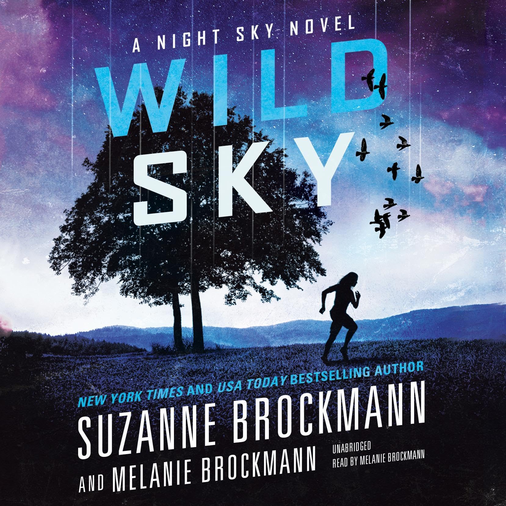 Cover art for Wild Sky