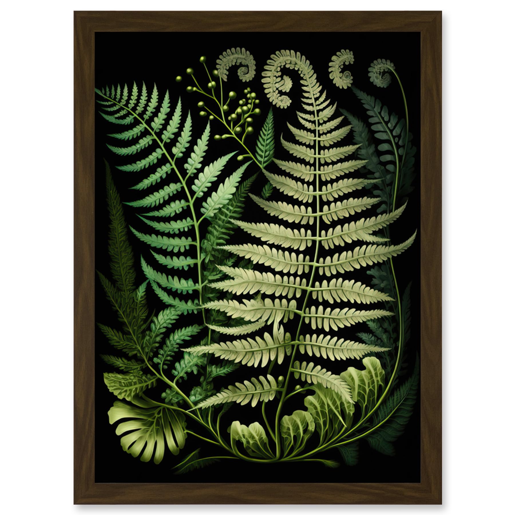Artery8 Ernst Haeckel Style Fern Fronds Illustration Artwork Framed Wall Art Print A4