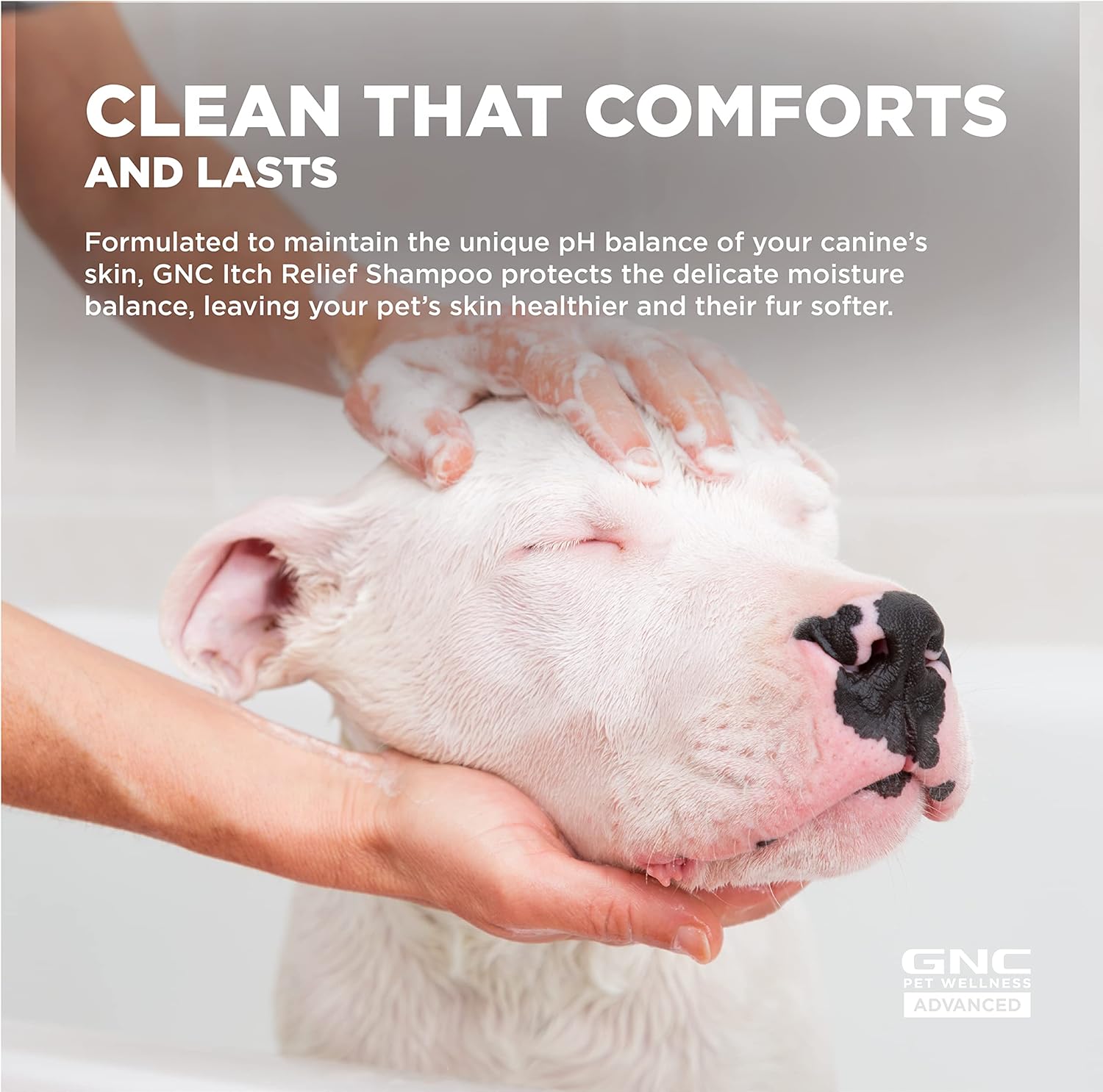 gnc itch relief shampoo for dogs