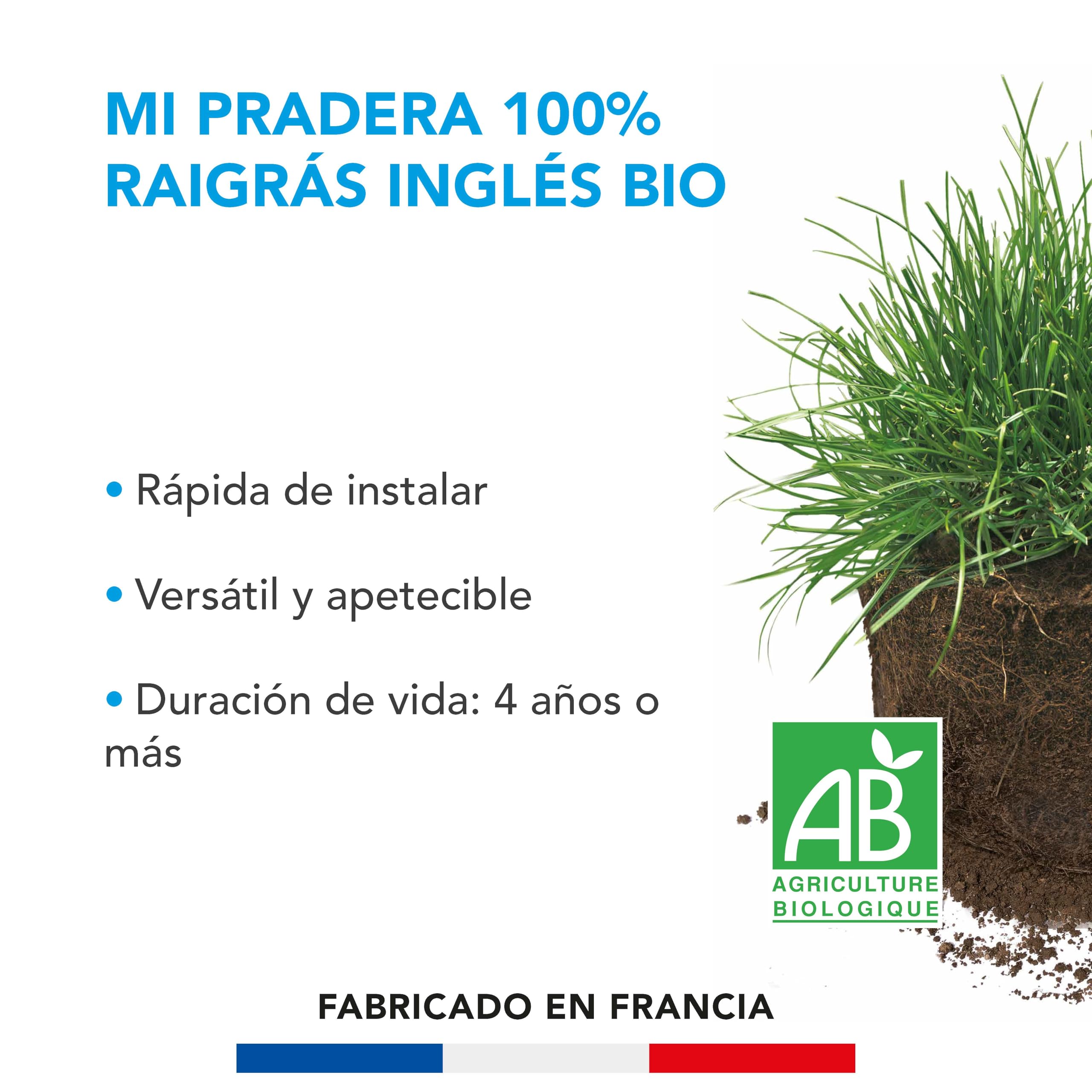 BARENBRUG - Pradera 100 % Raigrás Inglés BIO - Instalación Rápida - Polivalente y Apetente - Muy Buena Durabilidad 4 años o más - Fabricado en Francia - 10 Kg