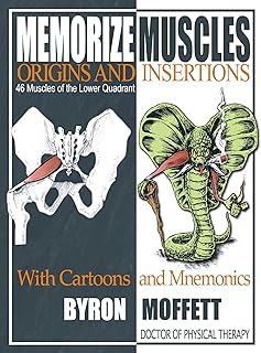 Memorize Muscles, Origins, and Insertions with Cartoons and Mnemonics: 46 Muscles of the Lower Quadrant