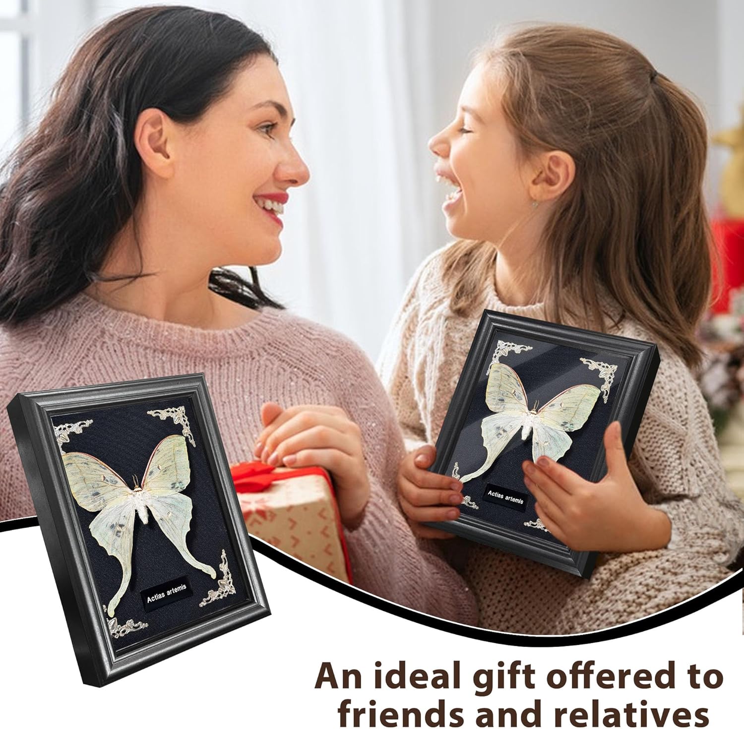 Taxidermy Butterfly Gothic Shadow Box, 6.9'' x 9'' Actias Selene Butterfly Wooden Framed Specimen Display Oddity Tabletop Wall Art Home Decor