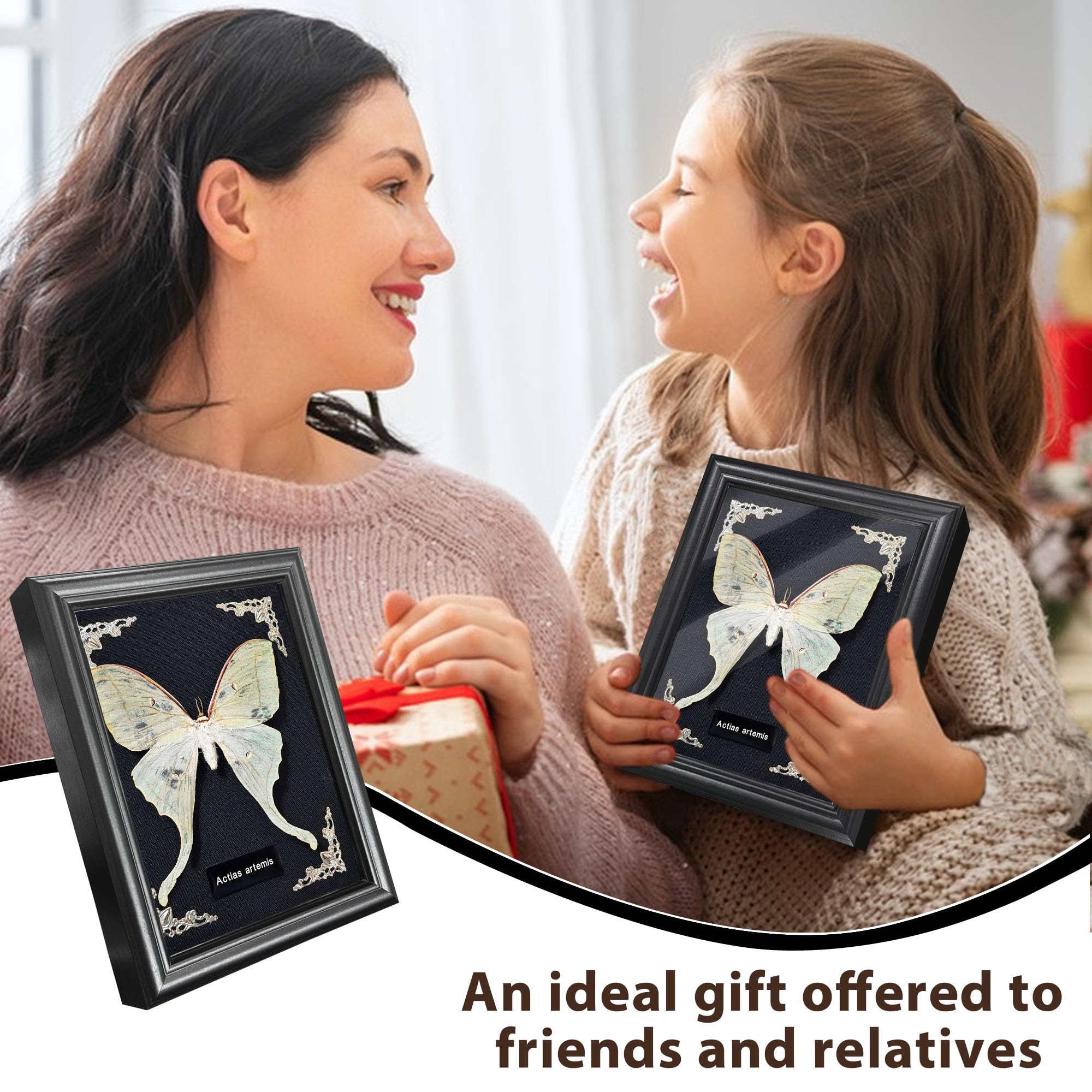 Taxidermy Butterfly Gothic Shadow Box, 6.9'' x 9''  Butterfly Wooden Framed Specimen Display Oddity Tabletop Wall Art Home Decor: Actias Selene