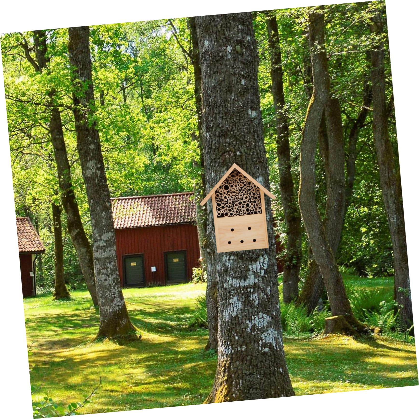 Hängendes Holzbienenhaus für Garten, Holz Außenbereich | Beobachtung von Bienenbestäubern, für Kinder Lehrreich, Individuell Bemalbar, Dekoratives Nest