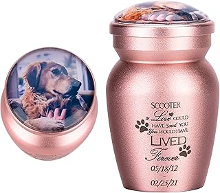 Fanery Sue Personalized Text Engraving Cremation Extra Small Keepsake Urn for Pet or Human Ashes Photo Customized Container Memorial Funeral Decorative(Pet-Pink)