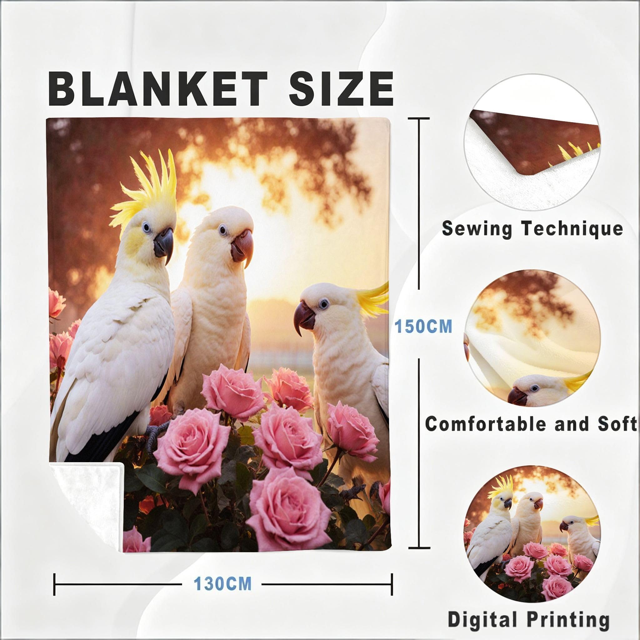 Manta XXL 240x260 cm Carcaj Polar para Sofá Cama-A296