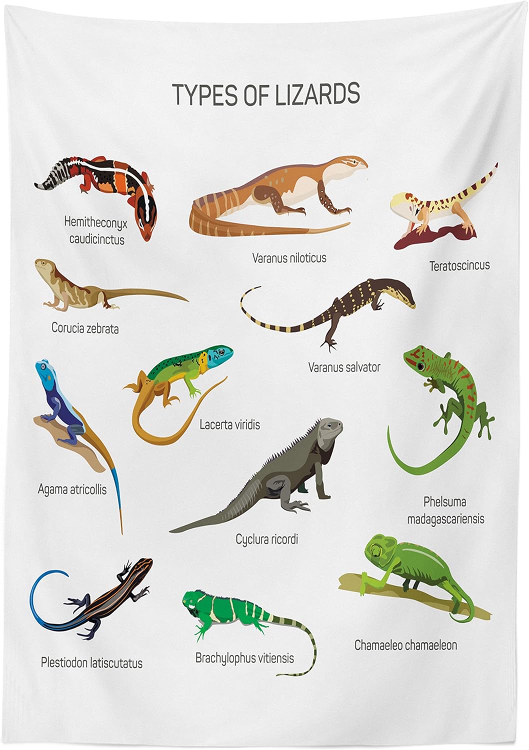 Buу 1 gеt 1 🔥 Ambesonne Reptile Tablecloth, Lizard Family Design on Plain Background Prehistoric Camouflage Exotic Creatures, Rectangular Table Cover for Dining Room Kitchen Decor, 60 X 84, White Multicolor