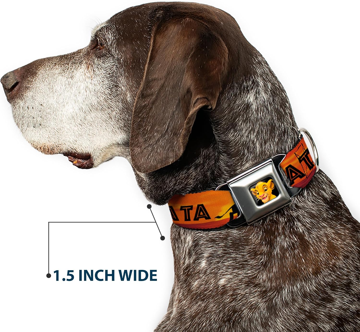 Dog Collar Seatbelt Buckle Lion King Hakuna Matata Sunset Oranges Black 15 to 26 Inches 1.0 Inch Wide