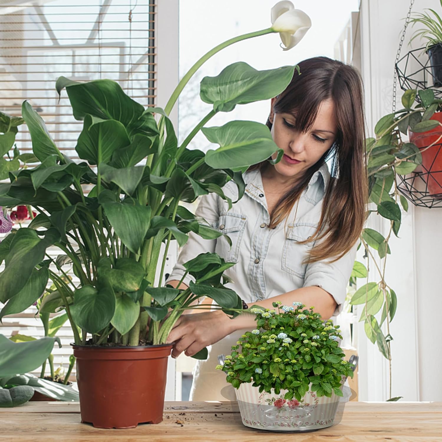 BESPORTBLE 90pcs Heavy Duty Plant Saucers Drip Trays for Flower Planter Trays for Use Prevent Water Leakage Keep