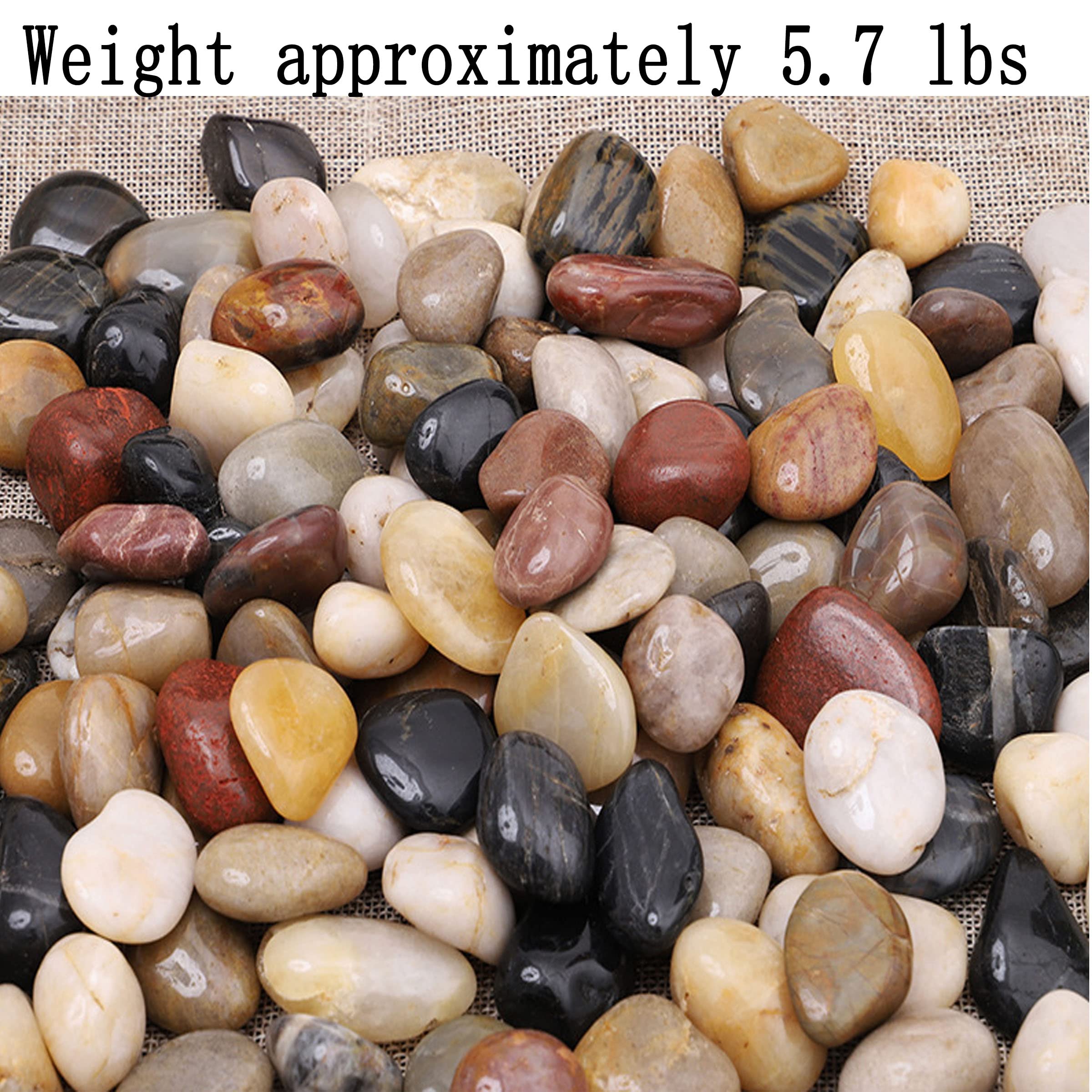 XXYXXY 2,6 kg Flusssteine, Pflanzen, Gärten, Landschaften, Sukkulenten, Vasen, hochglanzpolierte Deko-Kiesel in Formen und Größen von 2,5 - 7,6 cm. (1 Beutel ca. 2,6 kg)