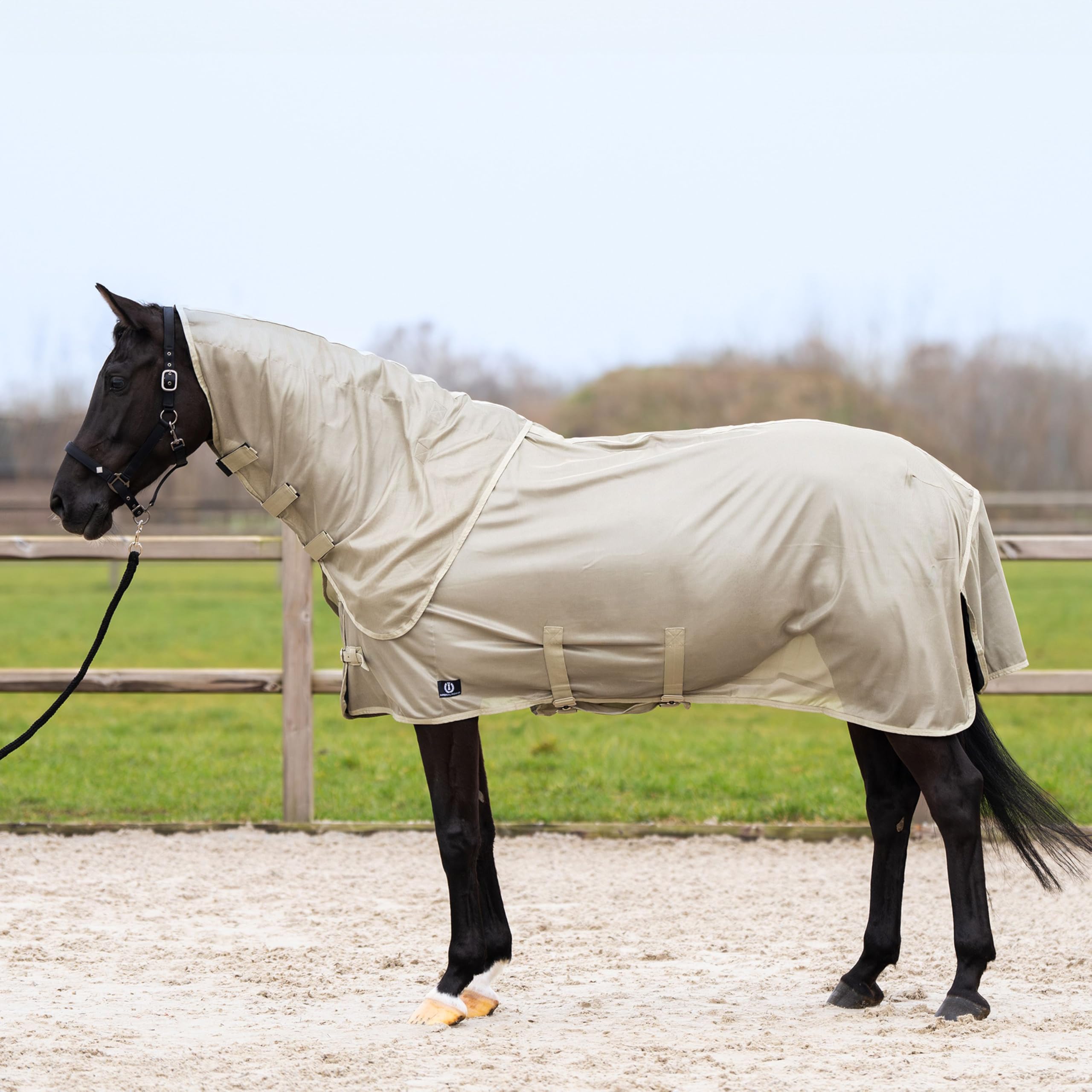 Imperial Riding Fliegendecke IRHReese mit abnehmbarem Halsteil Light Olive