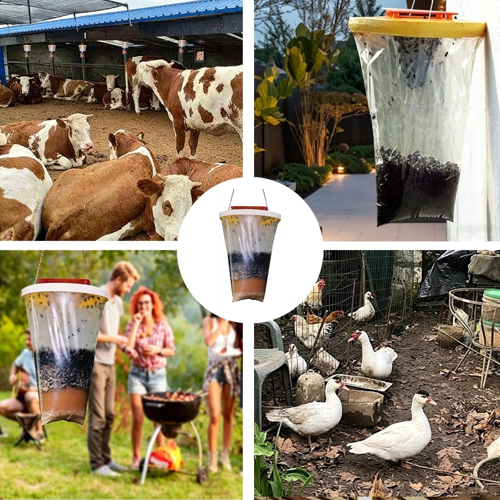 View 7