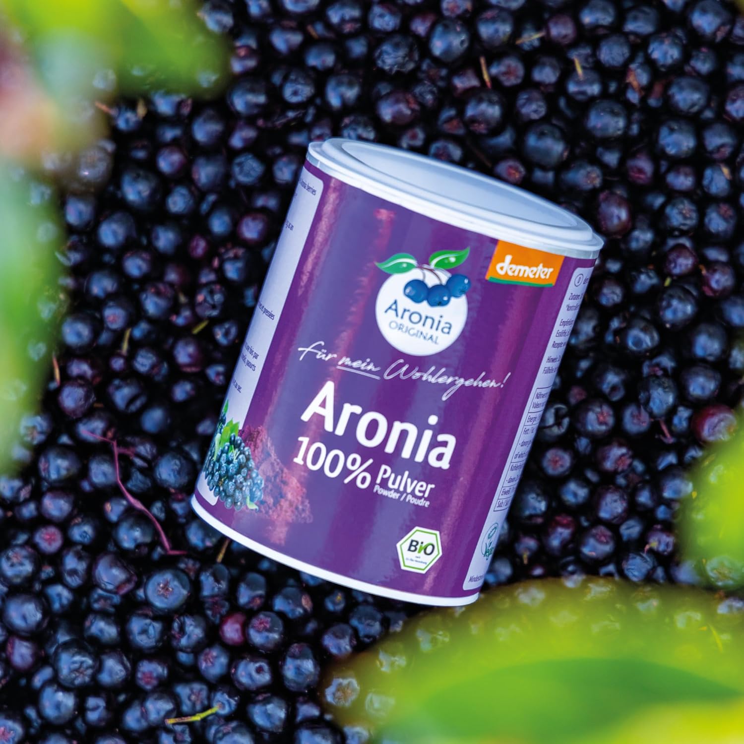 Aronia ORIGINAL Organic 10:1 Aronia Berry Powder 3.5 oz (6-Pack) | Over 1,000 Aronia Berries, No Added Sugar, No Additives, Not Freeze Dried, Not Frozen | Vegan, Organic, Non-GMO Black Chokeberry