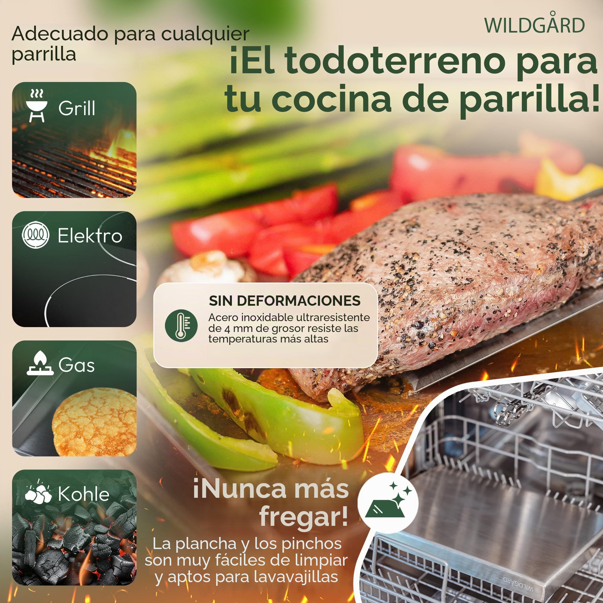 Plancha – Placa de Acero Inoxidable Grueso – 30 x 20 cm – Adecuado para barbacoa de gas y BBQ de carbón +PLUS: 2x espátulas para parrilla y 5x brochetas