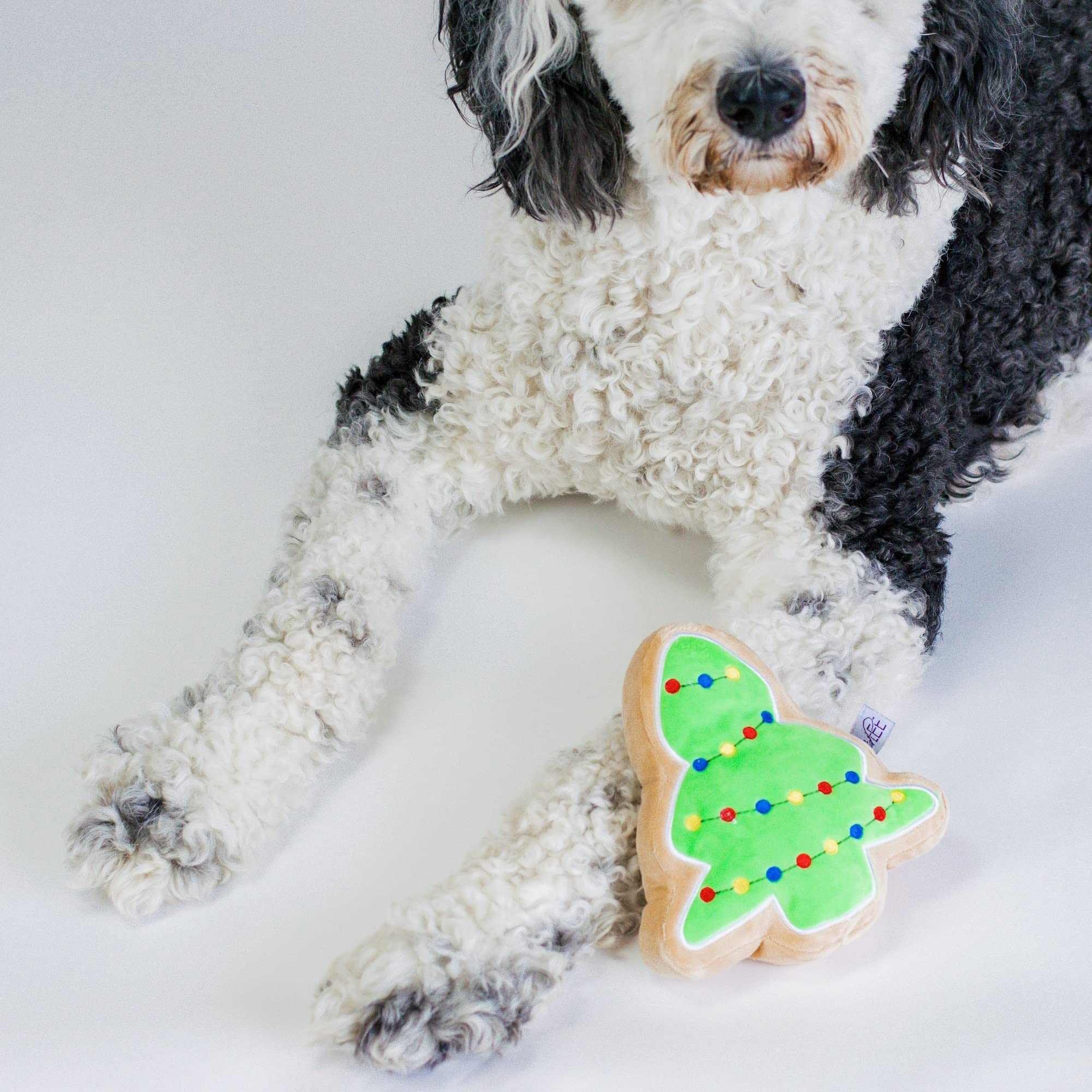 Midlee Hundespielzeug – 3 Plüschbällchen Mit Quietscher – 'Happy Birthday' Aufdruck – Für Mittlere/große Hunde