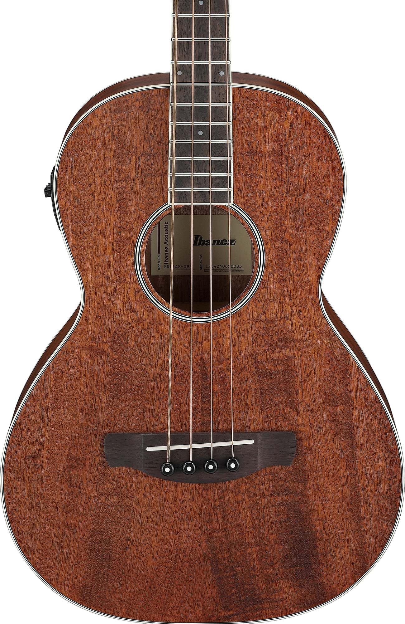 Amazon.com: Ibanez PNB14E Acoustic-Electric Bass Guitar - Open