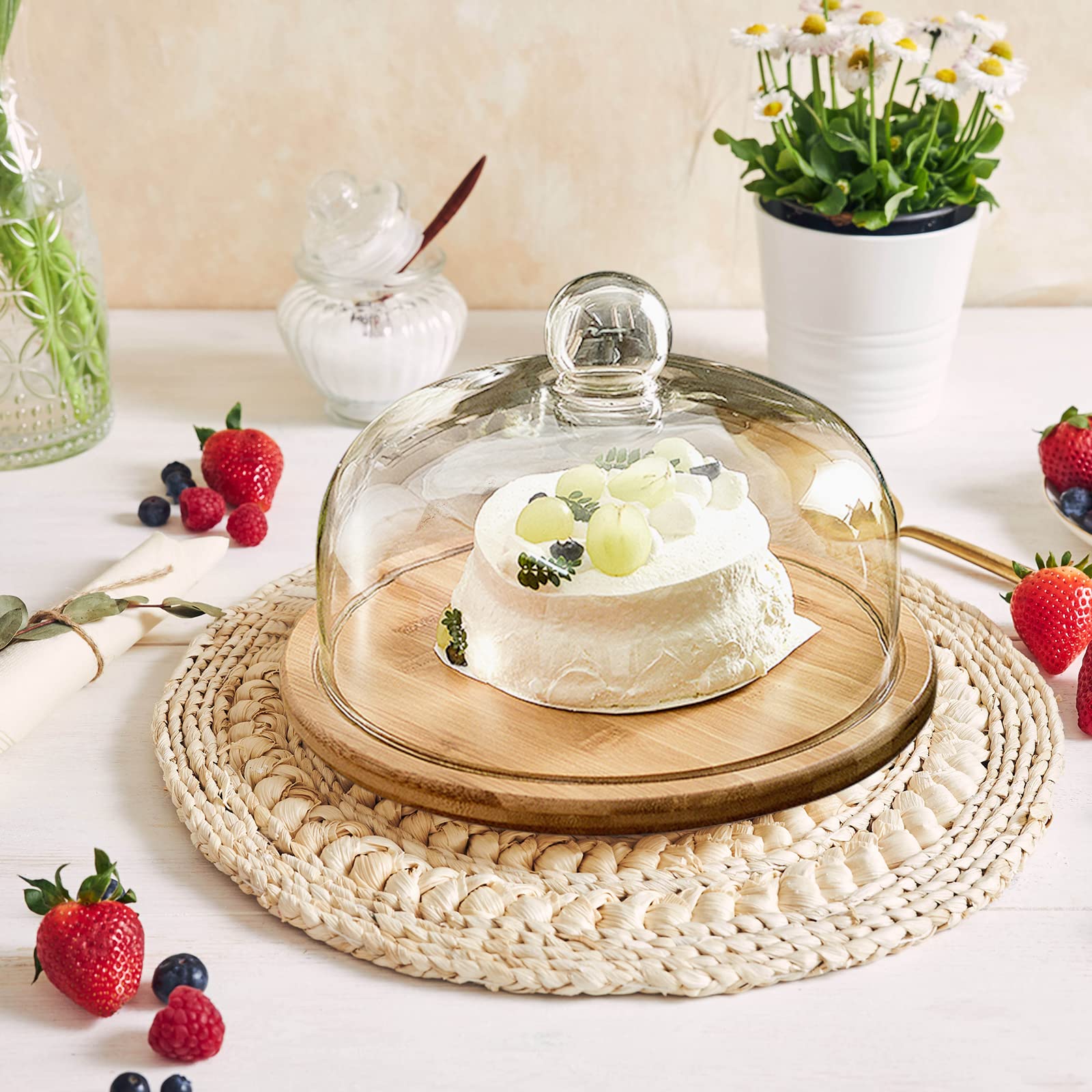Cúpula de cristal con base de madera, soporte para tartas, cúpula de cristal transparente, bandeja de exhibición de pasteles de madera (24 cm)