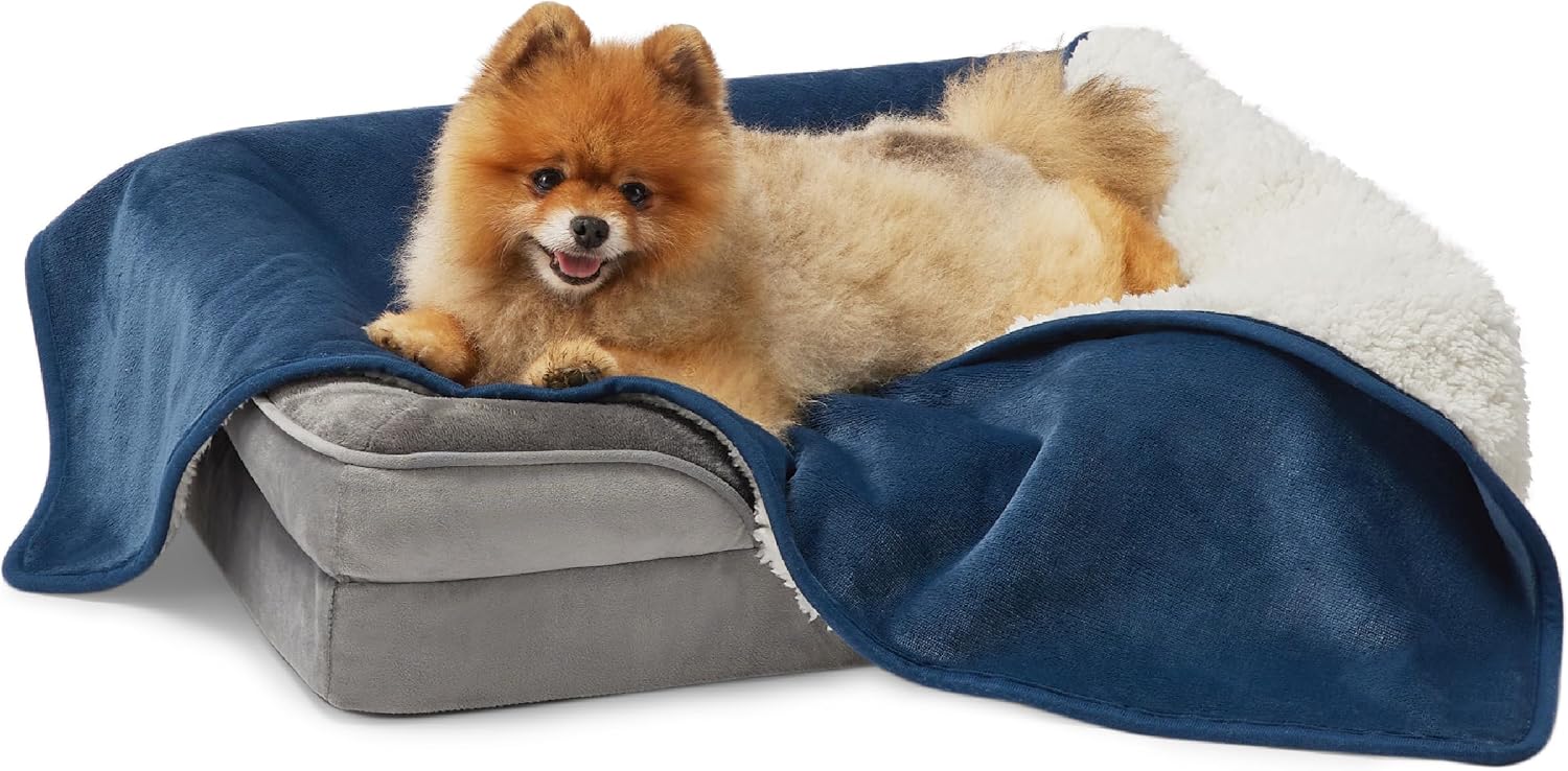 Lesure Waterproof Dog Blankets for Small Dogs - Cat Blanket for Couch Protection - Sherpa Fleece Waterproof Pet Blanket Pup Protector, Soft Plush Reversible Throw Furniture Protector, Blue, 25x35