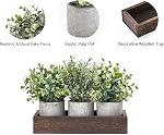 Dahey 3 Pack Mini Potted Artificial Eucalyptus Fake Plants with Wood Tray Centerpiece Table Decorations, Farmhouse Pulp Flower Pots Greenery Home Decor for Coffee Table Dining Room Office Kitchen