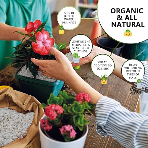 Miniatura 2 de Perlita hortícola de 10 cuartos a granel, perlita orgánica para plantas, curso de perlita para jardinería, para plantas de interior, para plantas de