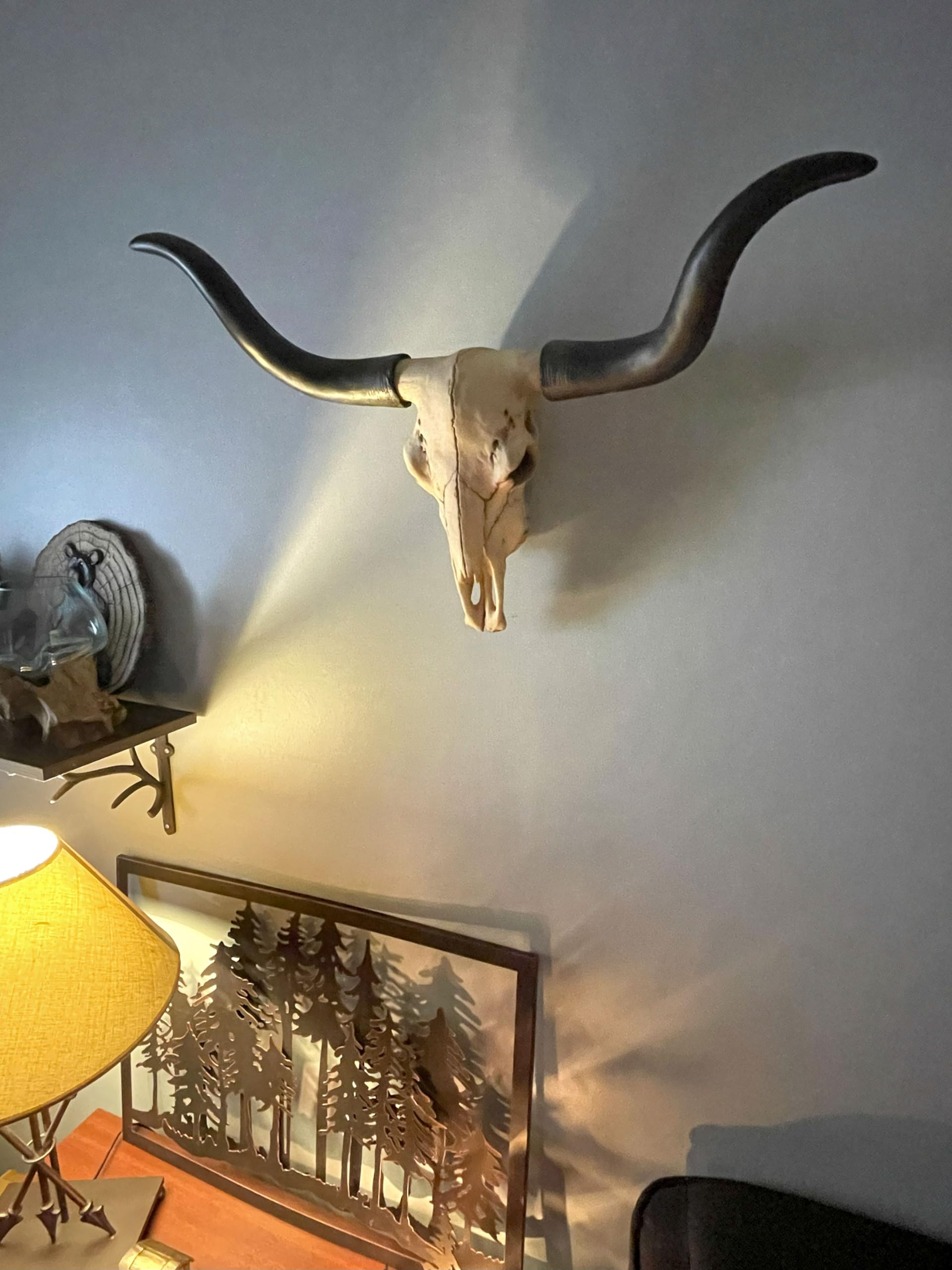Amazon.co.jp: Long Horn Cow Skull Wall Hanging Longhorn Steer
