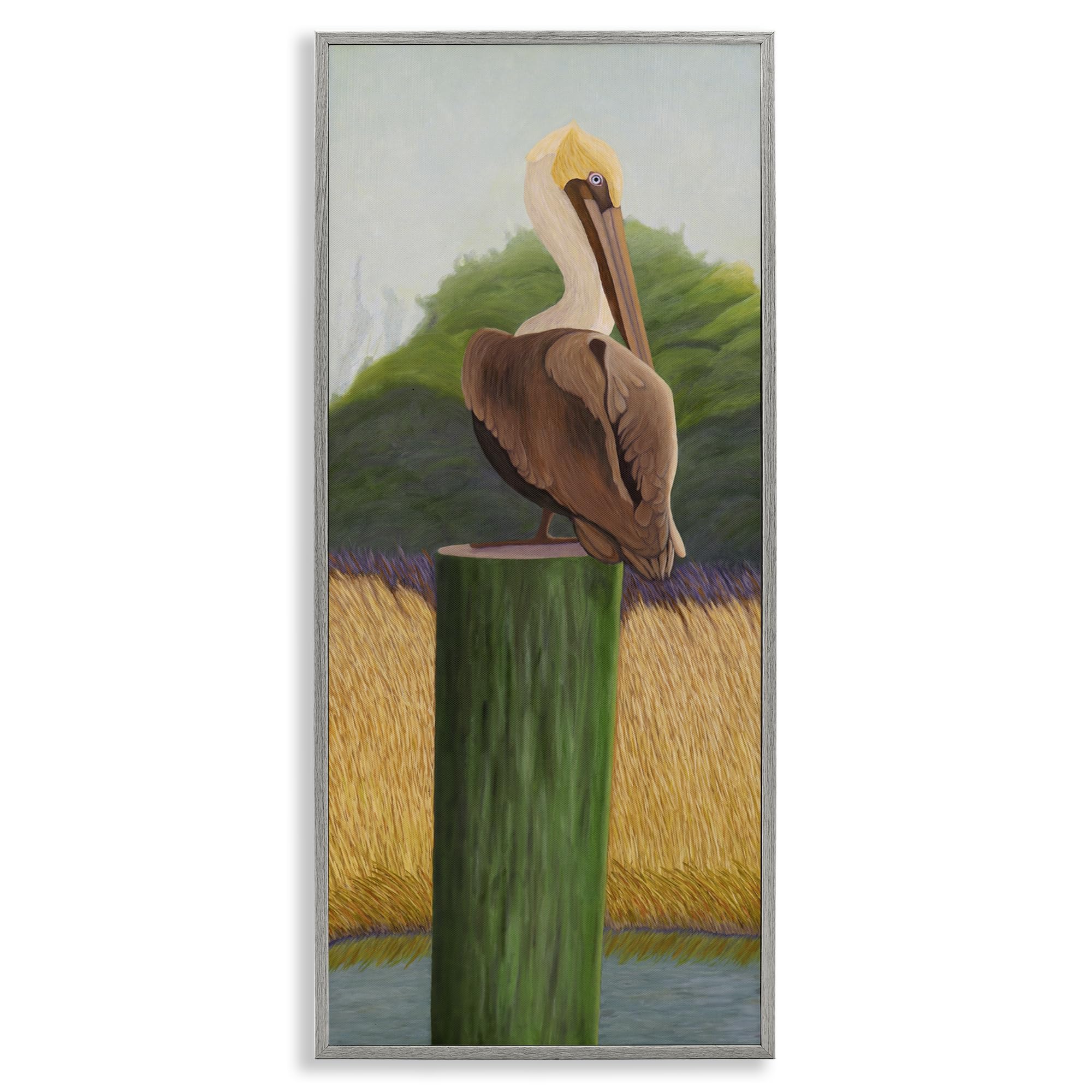 Stupell Industries 'Pelican with Blue Eyes', Framed Giclee Art, Gray, 13 x 30