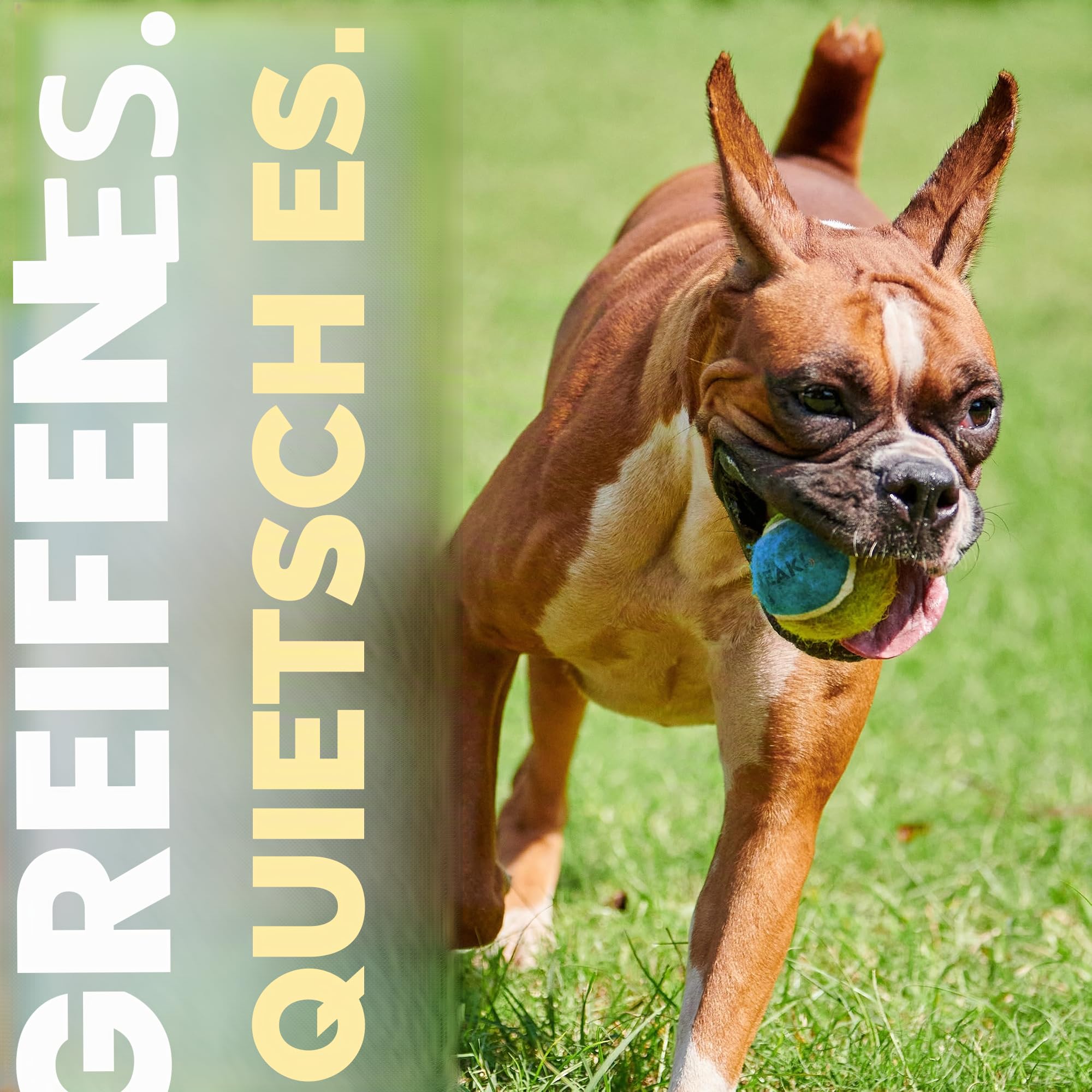 SPORTSPET Quietschende Tennisbälle für Hunde Extra hohe Sprungkraft Ungiftig Langlebig & Robust Schwimmfähig Tennisbälle mit Squeaker, 12er Pack (64 mm)