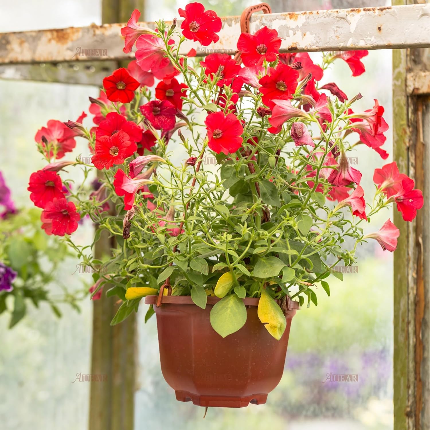 AUEAR, 50 Pack Plastic Hanging Plant Pots Containers Outdoor Indoor Planters with Drainage Holes Hooks Brown