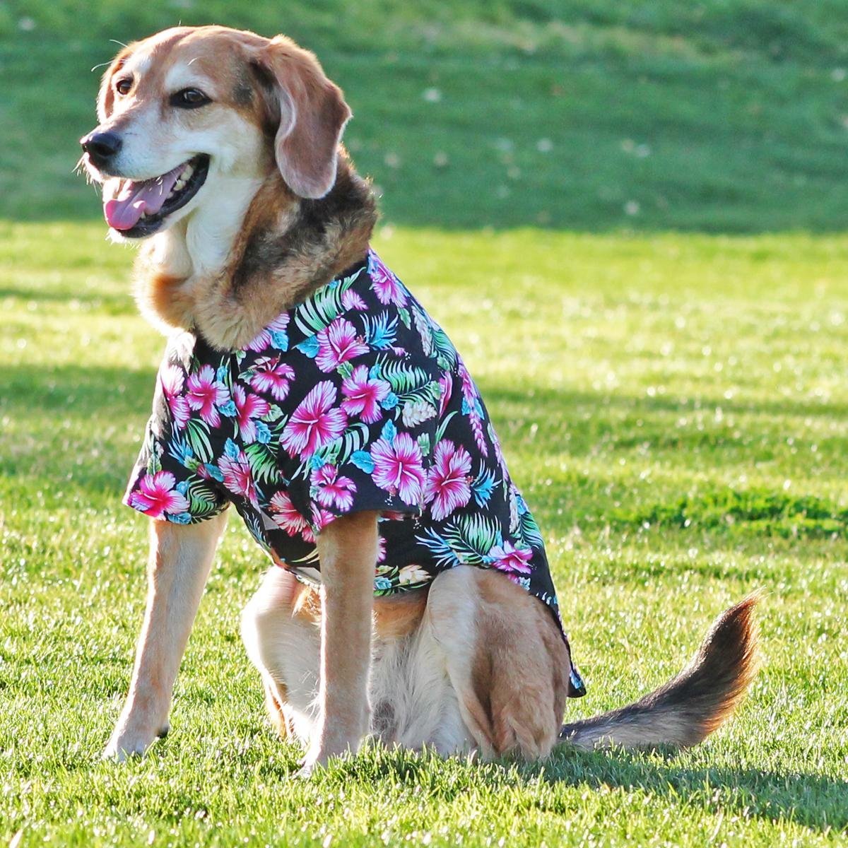 Hawaiian Camp Dog Shirt (Paradise Nights, S)