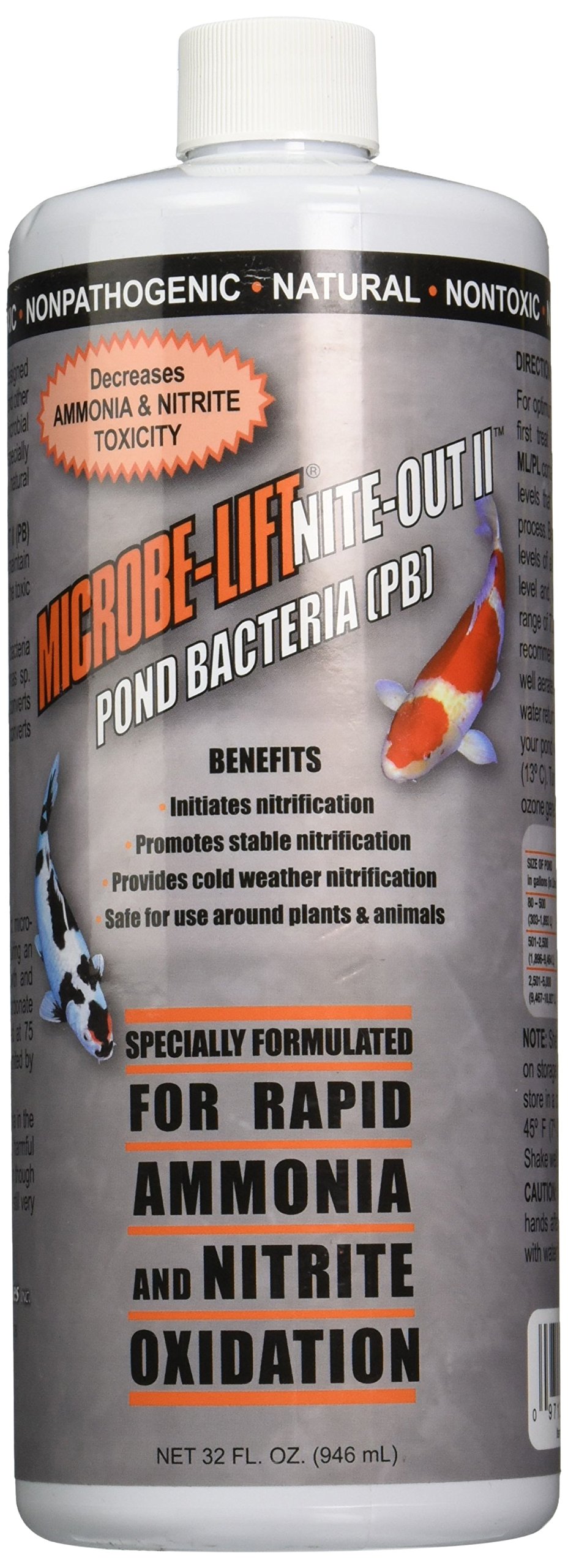 Eco Labs NITE32 Microbe Lift Nite Out Nutrifying Bacteria, 32-Ounce