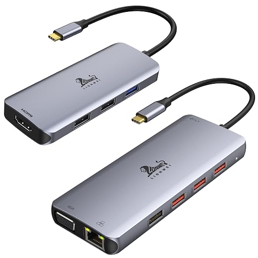 LIONWIE 6 in 1 USB C to Dual HDMI Hub Adapter, 11 in 1 USB C Docking Station for Dell XPS 13/15, Lenovo Yoga, HP x360 /Elitebook, etc