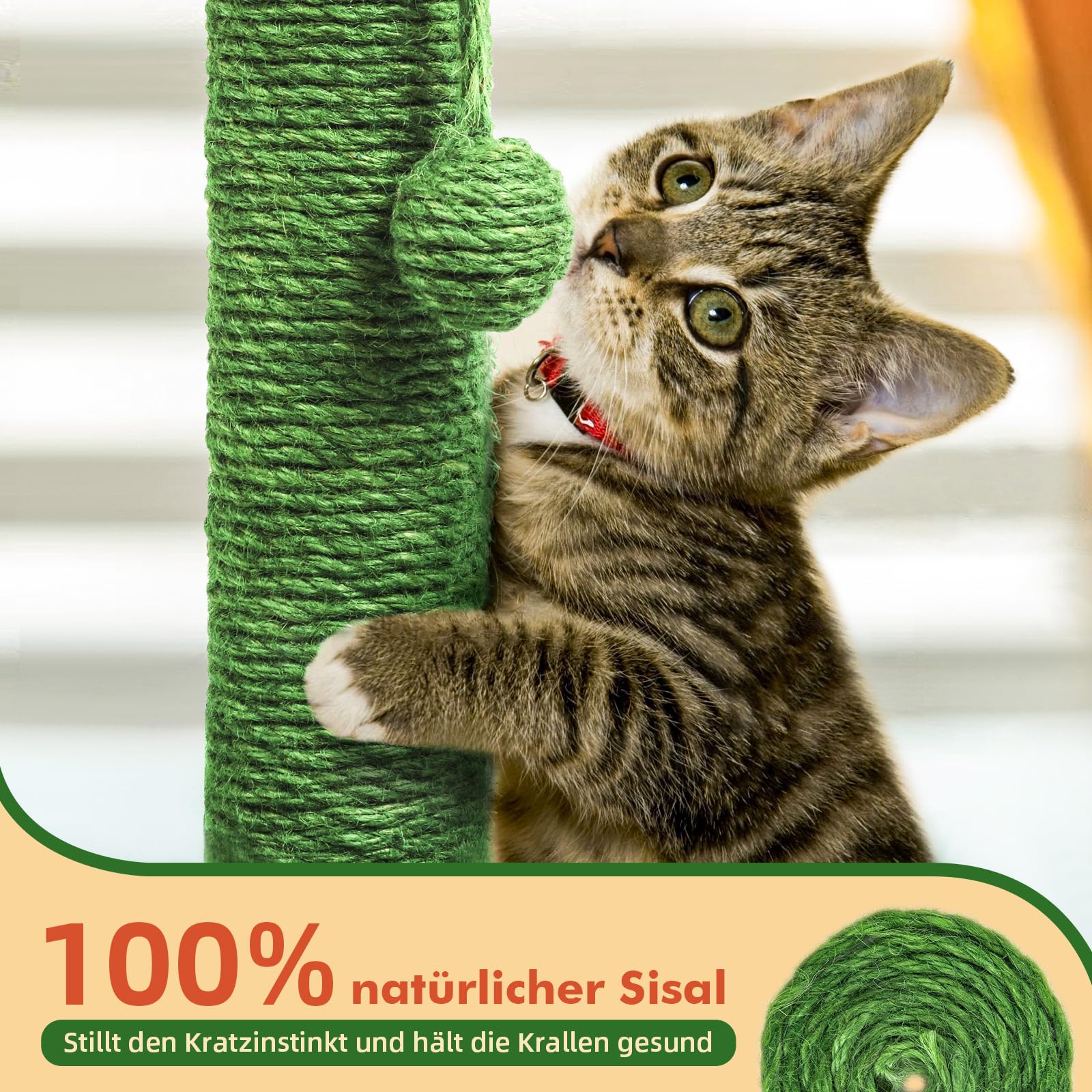 Mora Pets Tiragraffi cactus per gatti adulti colonne tiragraffii albero per gatti grandi e piccolo palo in naturali sisal 57.9 x 33 cm (H x Ø)