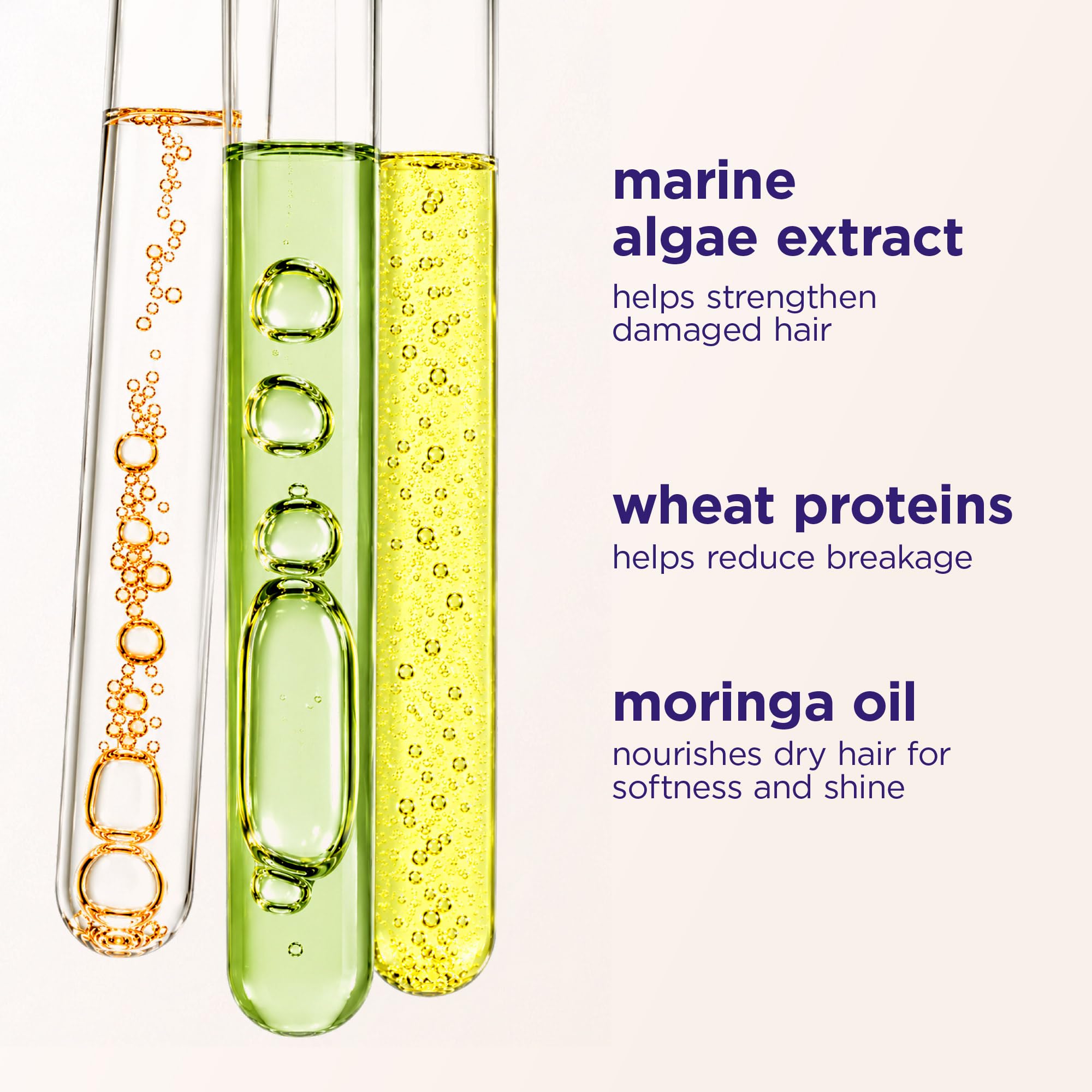 Maria Nila Haarspülung trockenes Haar XL, Structure Repair Conditioner für geschädigtes und coloriertes Haar mit Algenextrakt, Pflegespülung Damen (vegan, Anti Frizz) Salon Familien Pack, 1000 ml