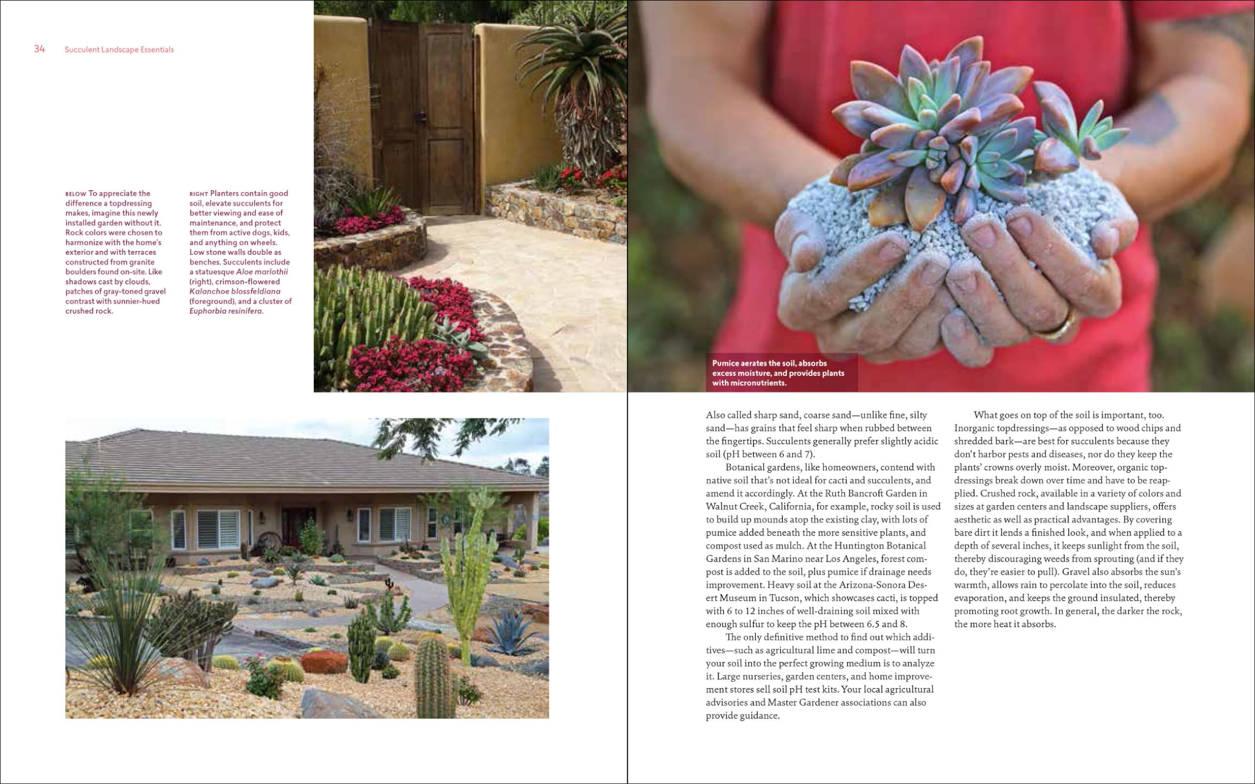 Designing with Succulents