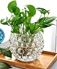 AIVAR Round Glass Vase Glass Vase Goldfish Bowl Flower Vessel Glass Flower Base Vase Flower Vessel Glass Base Glass Bottle Arrangement Interior Hydroponics Ikebana Artificial Flowers Stylish Simple
