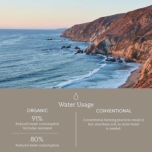 Miniatura 6 de Coyuchi Cojín de colchón de algodón orgánico (Queen, Blanco)