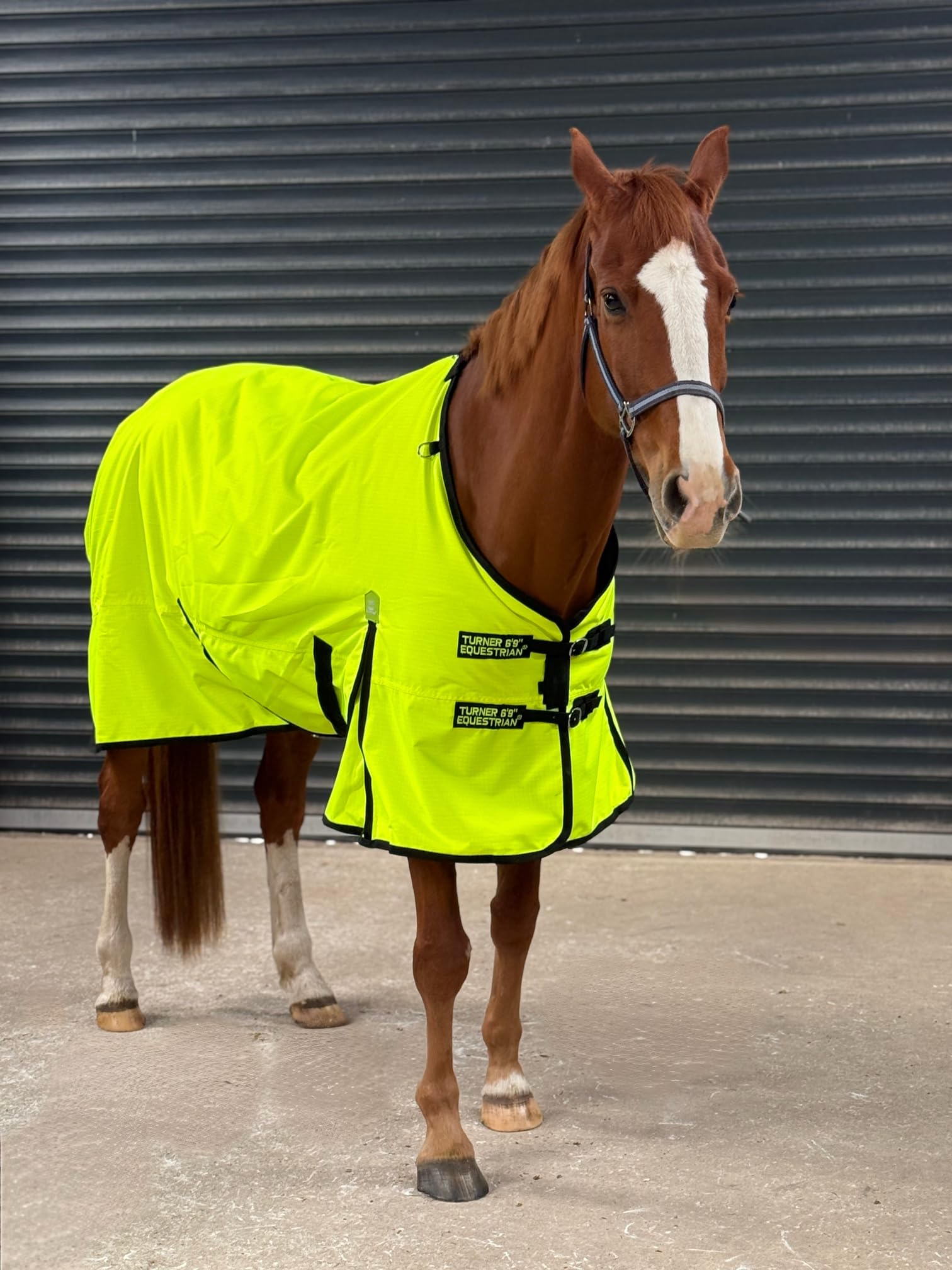 Turner Equestrian 600D Lightweight Waterproof Horse Turnout Rug, 100g Fill, High-Visibility Yellow (5'6" Standard)