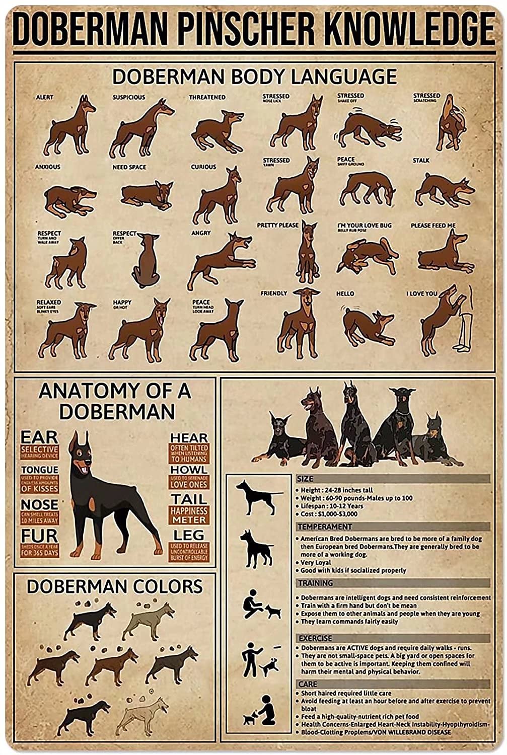 Doberman Pinscher Metal Tin Sign Vintage Chic Art Decoration for Home Bar Cafe Farm Store Garage or Club 12x16 Inch