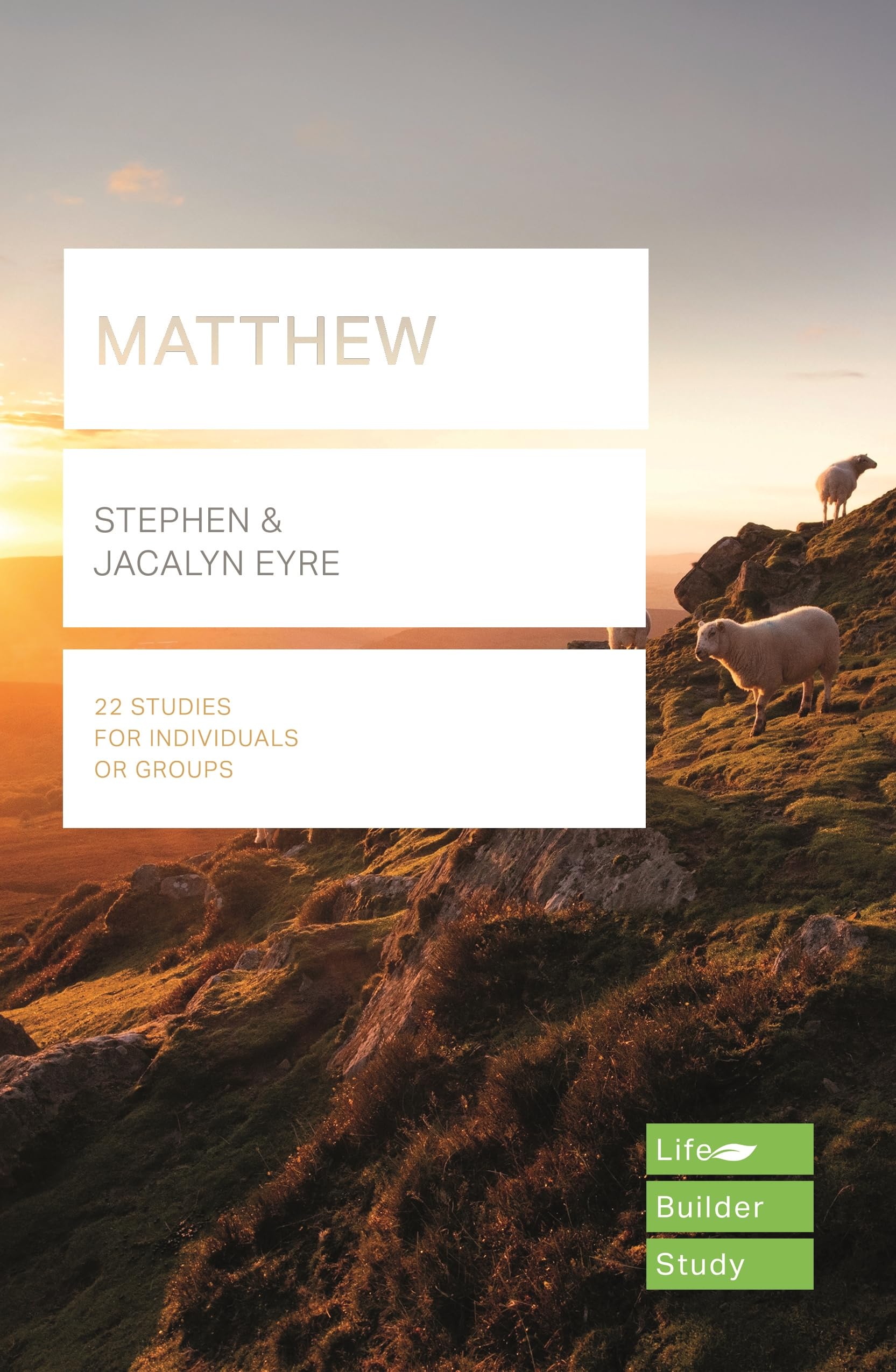 Matthew (Lifebuilder Study Guides): Being Discipled by Jesus