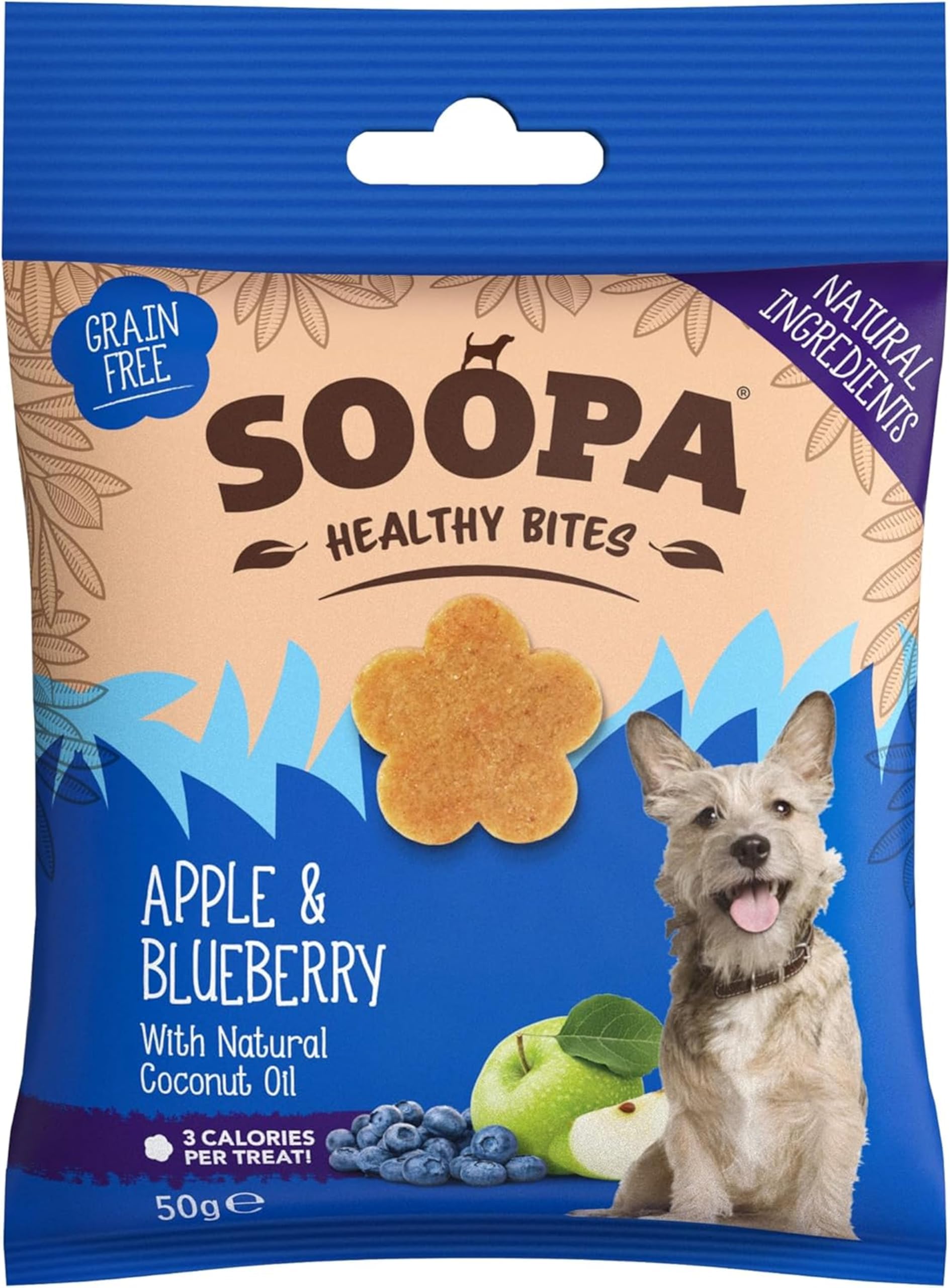 Healthy Bites
